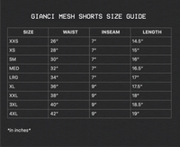 Stormcube Shorts